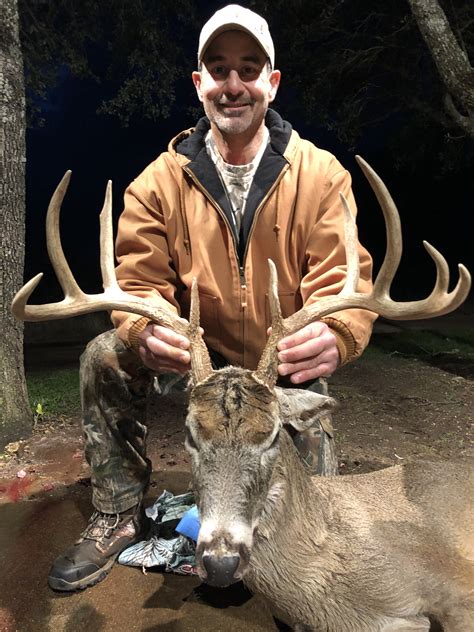 whitetail hunting tips.